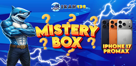 MYSTERY BOX